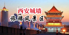 毛茸茸遵下露出中国陕西-西安城墙旅游风景区