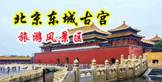 群P操逼Av中国北京-东城古宫旅游风景区